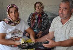 Evlerinde çıkan yangında 90 bin lira birikimleri de yandı