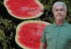 'Karpuzlar tarlada kaldı, zarar eden üretici gelecek yıl uzak durabilir'