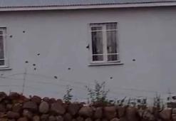 Bingöl’de 2 eve silahlı saldırı