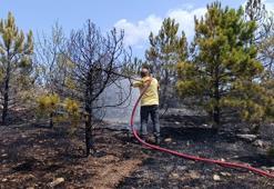 Amasya’da 3 hektar orman yandı