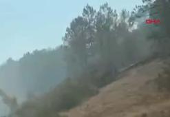 Harmancık'ta yeniden dumanlar yükseliyor