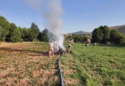 Diyarbakır'da 4,4 milyon kök kenevir ele geçirildi; 17 tutuklama