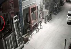 Havalı tüfekle vurulan köpek felç kaldı; saldırı kamerada