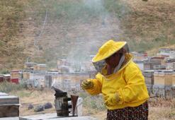 Devlet destekli arıcılığa başlayan 6 çocuk annesi, birçok şehre bal satıyor