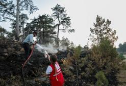 Türk Kızılay’ın orman yangınlarıyla mücadeleye desteği sürüyor