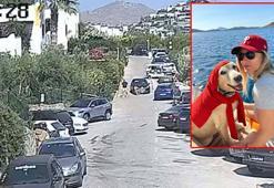 12 yıllık can dostu 'Çinko' trafik kazasında öldü, o anlar kamerada