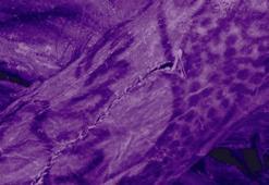 2 bin 500 yıllık mumyada dövme olduğu tespit edildi