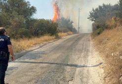 Bodrum'da maki yangını