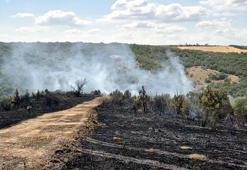 Tekirdağ'da çıkan orman yangını, 1 saatte kontrol altına alındı