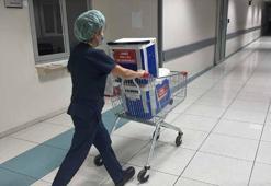 Beyin ölümü gerçekleşen genç kızın organları 3 kişiye umut oldu