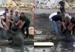 Avcılar'da otluk alanda yangın çıktı; ineklerini kurtarmak için gölete soktu