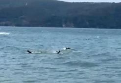 Beykoz'da tekne alabora oldu: 3 kişi kurtarıldı, 1 kişi hayatını kaybetti