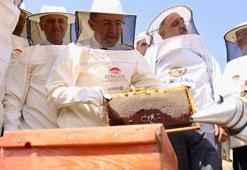 Bakan Yumaklı, Bingöl'de ilk bal sağımını gerçekleştirdi