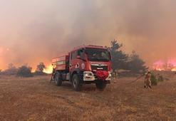 Prof. Dr. Kavgacı: Yangın söndükten sonra kök yanması devam edebilir