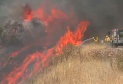 California’daki orman yangınında 12 bin hektar alan yandı