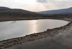 Bitlis'te göçerlerin zorlu yayla hayatı