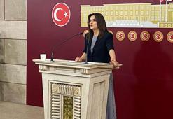 DEM Parti'li Koçyiğit: Komisyonun isminde 'demokrasi' kavramının olmasında ısrarcıyız