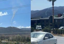 Hatay'da geçen ay yanan ormanda hortum çıktı; o anlar kamerada