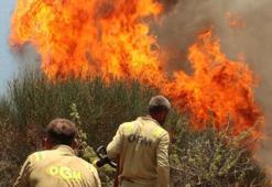 Karabük Üniversitesi'nden orman yangınlarına karşı politika raporu