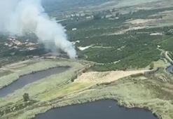 Köyceğiz Gölü yakınlarındaki sazlık yangınında 1 hektar alan zarar gördü