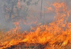 Bulgaristan'da orman yangın