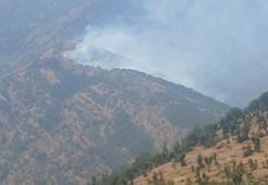 Şırnak’ta ormanda çıkan örtü yangını kontrol altında
