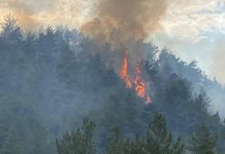 Karabük’te çıkan orman yangını kontrol altında