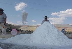 40 derece sıcakta asırlık geleneklerle tuz üretimi