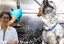 Doç. Dr. Gürler: Hayvanlar serinlesin diye bol su ile yıkamak yanlış