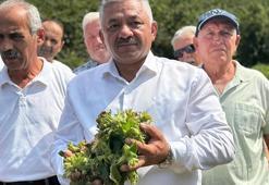 TZOB Üyesi Soydan: Fındığı tabanın üzerinde fiyat oluşması için kontrollü şekilde pazara indireceğiz