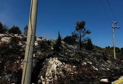 Muğla'da maki yangınında 1,5 dönüm alan zarar gördü