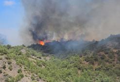 Tokat’ta çıkan orman yangını kontrol altına alındı