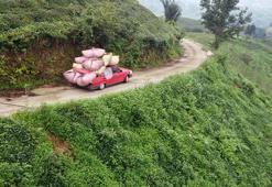 Çay naklinde otomobil ‘kamyonet’ oldu