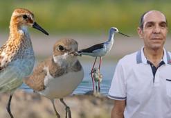 Prof. Dr. Kılıç: Çekilen görüntüler, Kabaklı Göleti’nin ‘kuş üreme alanı’ olduğunu destekliyor