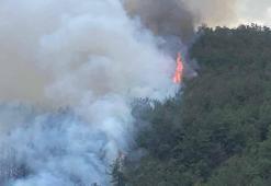 Karabük'te orman yangını