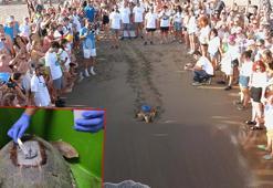 Ürettikleri ilk yerli uydu takip cihazı, caretta carettaya takıldı