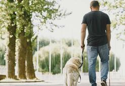 Görme engelli bireyi rehber köpekle sosyal tesise almayan belediyeye para cezası