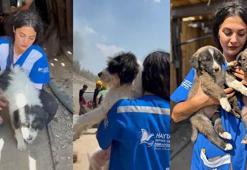 Alevlerden kaçıp 7 yavrusuyla maden ocağına sığınmış