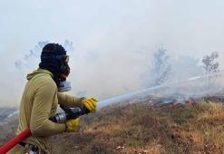 Bolu'da orman yangını