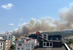 Çanakkale'de iki orman yangını