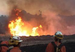 California'daki orman yangını devam ediyor