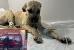 Sopalı şiddetten 'Mucize'ye