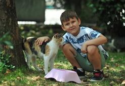 6 yaşındaki Dorukhan, her gün takipçisi kadar sokak hayvanı besliyor