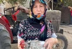 Orman yangınında evinin bir bölümü yandı; geriye 3 tavuğu kaldı