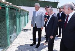 Bakan Yardımcısı Aktaş, sahipsiz hayvanlar için yapılan çalışmaları inceledi