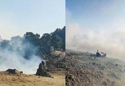 Aksaray'daki orman yangını kontrol altında