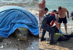 Muğla’da tekne pervanesi çarpan caretta carettayı sahil güvenlik kurtardı