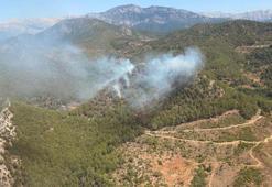 Mersin'de orman yangını kontrol altında
