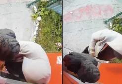 Esenyurt'ta ATM'lerin para haznesini tornavida ile kıran şüpheli tutuklandı