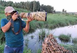 DHA objektifinden Dicle Vadisi yaban hayatı